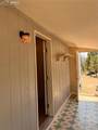 169 Daisy Street - Photo 49