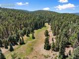 1054 Cantiberry Road - Photo 16