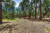 15950 Roller Coaster Road - Photo 26