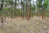 15950 Roller Coaster Road - Photo 28