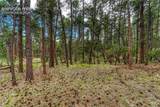 15950 Roller Coaster Road - Photo 29