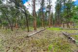 15950 Roller Coaster Road - Photo 34