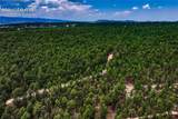 15950 Roller Coaster Road - Photo 43