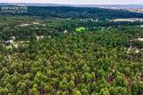 15950 Roller Coaster Road - Photo 47