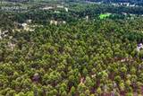 15950 Roller Coaster Road - Photo 48