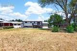 423 Eudora Street - Photo 21