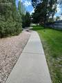 5655 Bridlespur Ridge Place - Photo 89