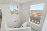 9283 Old Divide Drive - Photo 10