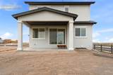 9283 Old Divide Drive - Photo 28