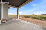 9283 Old Divide Drive - Photo 29