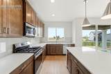9283 Old Divide Drive - Photo 6