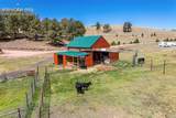 242 Poplar Lane - Photo 14
