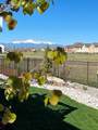 12732 Enclave Scenic Drive - Photo 43