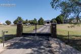 12050 Blaney Road - Photo 8