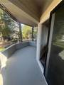 3610 Iguana Drive - Photo 8