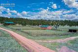 3596 Delilah Drive - Photo 44