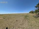 n/a Bunny View - Photo 15