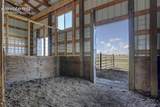 37485 Judge Orr Road - Photo 42