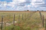 37485 Judge Orr Road - Photo 43