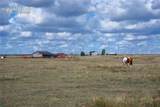 37485 Judge Orr Road - Photo 46