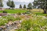 11503 Smith Road - Photo 66