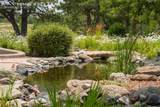 11503 Smith Road - Photo 85