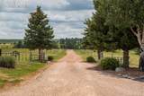 11503 Smith Road - Photo 87