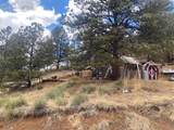 4023 Teller 1 Road - Photo 7