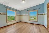 14150 Teleo Court - Photo 47