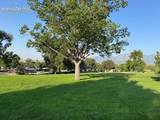 1100 Rosemont Drive - Photo 13