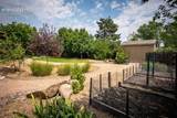 6725 Prince Drive - Photo 50