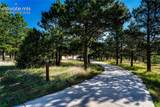 19435 Sherwood Trail - Photo 10