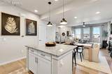 3635 Levy Park Drive - Photo 8