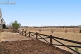 6567 Cottonwood Tree Drive - Photo 26