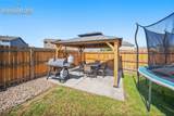 9165 Buffalo Bur Trail - Photo 24