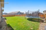 9165 Buffalo Bur Trail - Photo 25