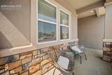 9165 Buffalo Bur Trail - Photo 29