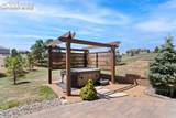 17283 Carriage Horse Drive - Photo 36