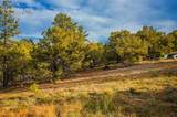 Lot 3 County Road 634.2 - Photo 12