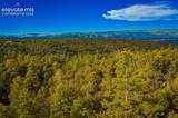 Lot 3 County Road 634.2 - Photo 6