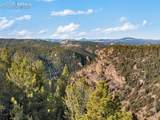 111 Blue Spruce Road - Photo 40