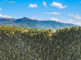 111 Blue Spruce Road - Photo 5