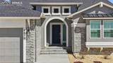 8870 Elk Antler Lane - Photo 5