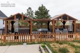 36930 Judge Orr Road - Photo 41