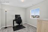 10044 Castor Drive - Photo 15