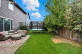 7340 Grama Grass Court - Photo 33