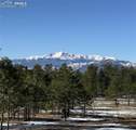 14432 Quartz Creek Drive - Photo 3