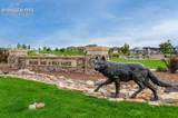 6658 Miro Lane - Photo 43
