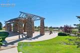 6658 Miro Lane - Photo 44