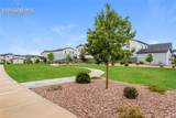 5833 Spring Breeze Drive - Photo 15